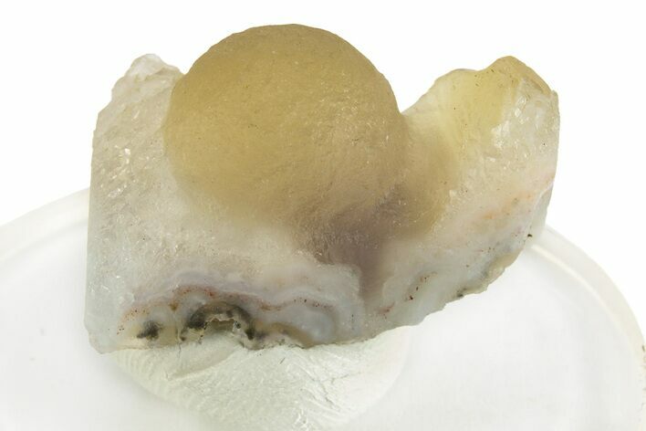 Botryoidal Yellow Fluorite on Quartz - India #243829